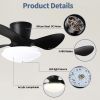 24" Modern Ceiling Fan with Light and Remote,Low Profile Flush Mount Ceiling Fans Indoor