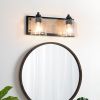 2-Light Black Vanity Light with Seeded Glass Shades